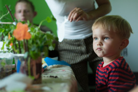 Mój kawałek ogrodu, Jola Jastrząb