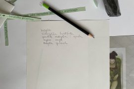Niosący światło/ warsztat 2, Jola Jastrząb