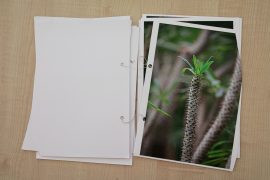 Artbook/Świetlik/ warsztat 7, Jola Jastrząb
