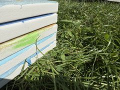 Poddąbie 2025, Jola Jastrząb